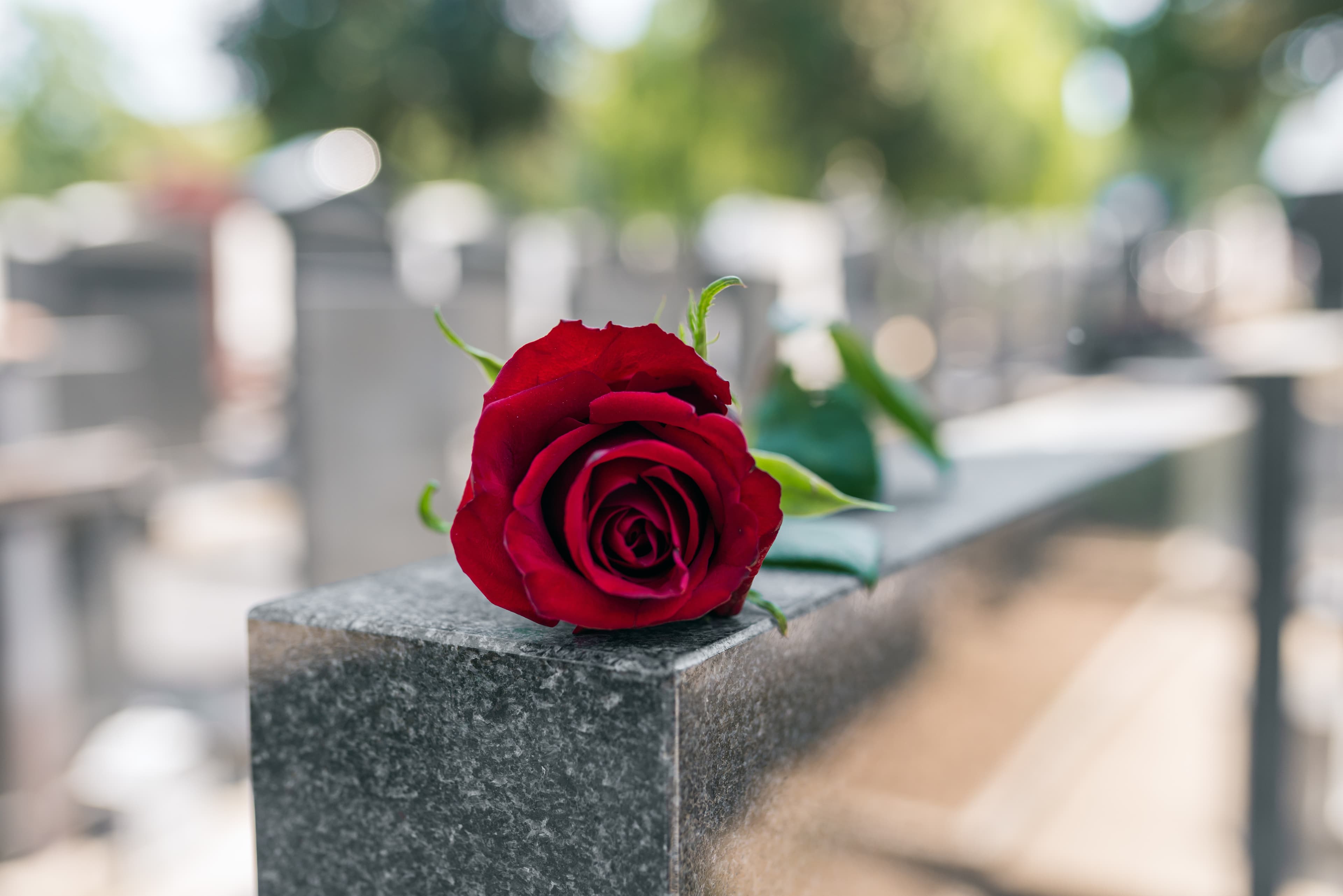What Happens to All Your Stuff When You Die? (And Why Your Family Is Dreading It)